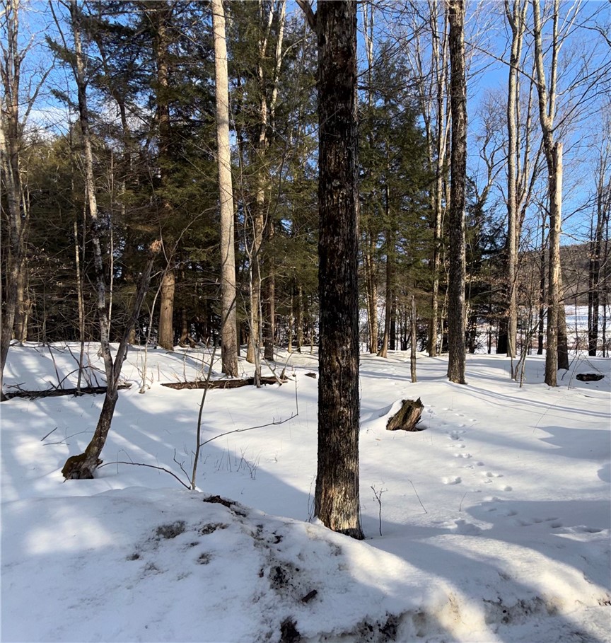 166 Field Cross Road Mount Vision, NY 13810 - Photo 6 of 35