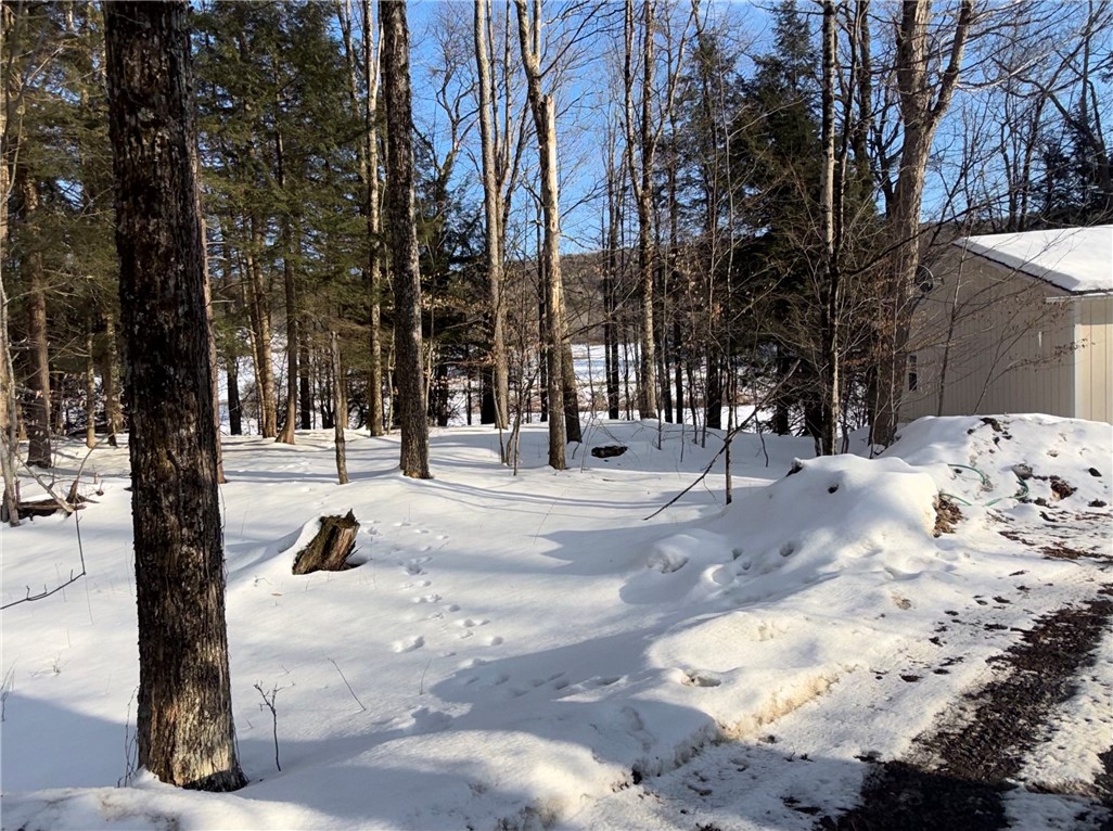 166 Field Cross Road Mount Vision, NY 13810 - Photo 7 of 35