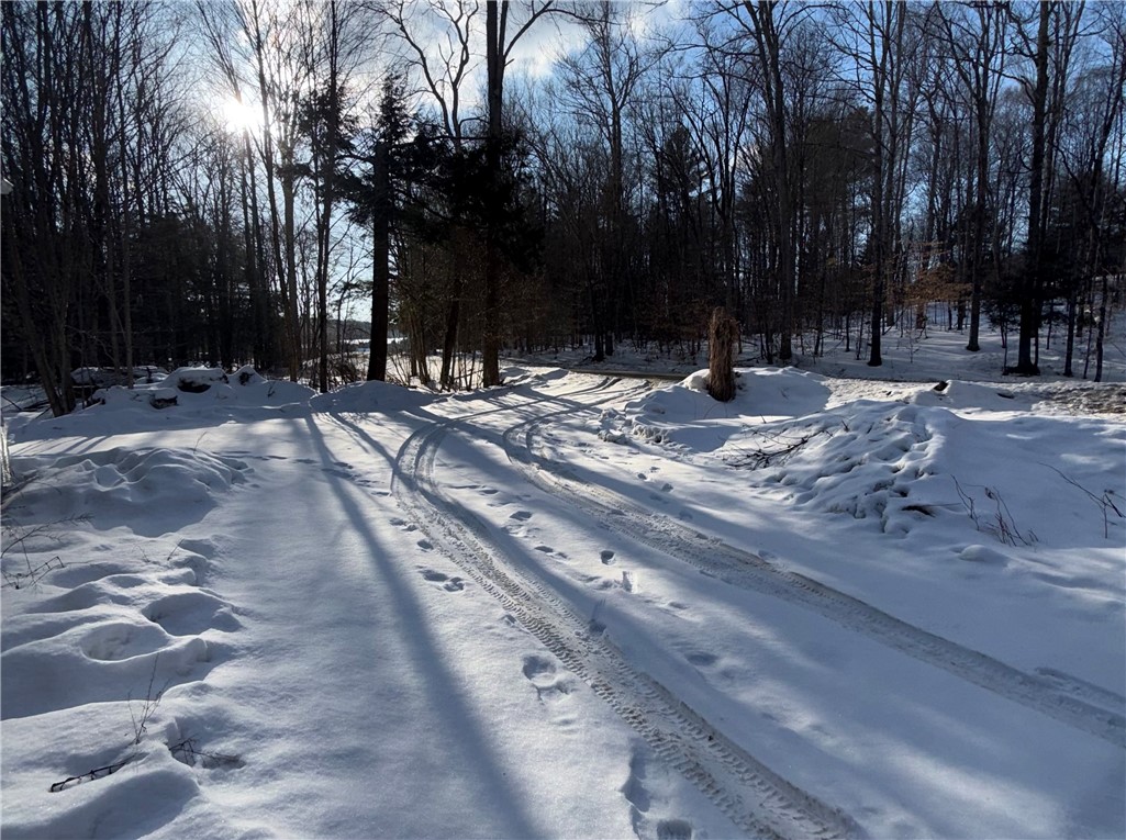 166 Field Cross Road Mount Vision, NY 13810 - Photo 10 of 35