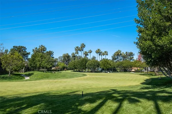 a view of a grassy field with an trees