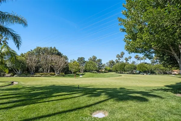 a view of a park with a big trees
