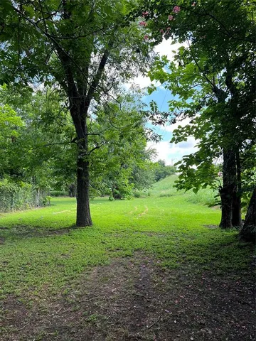 a view of a trees in a yard