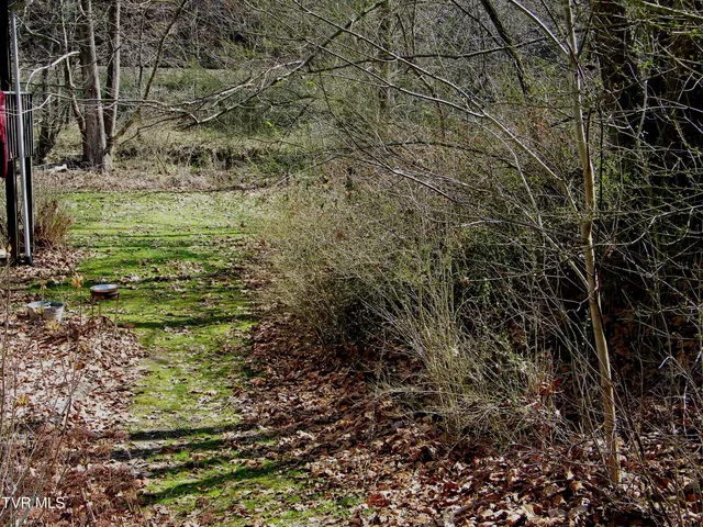 $169,000 | 17094 Us Highway, Duffield, VA 24244