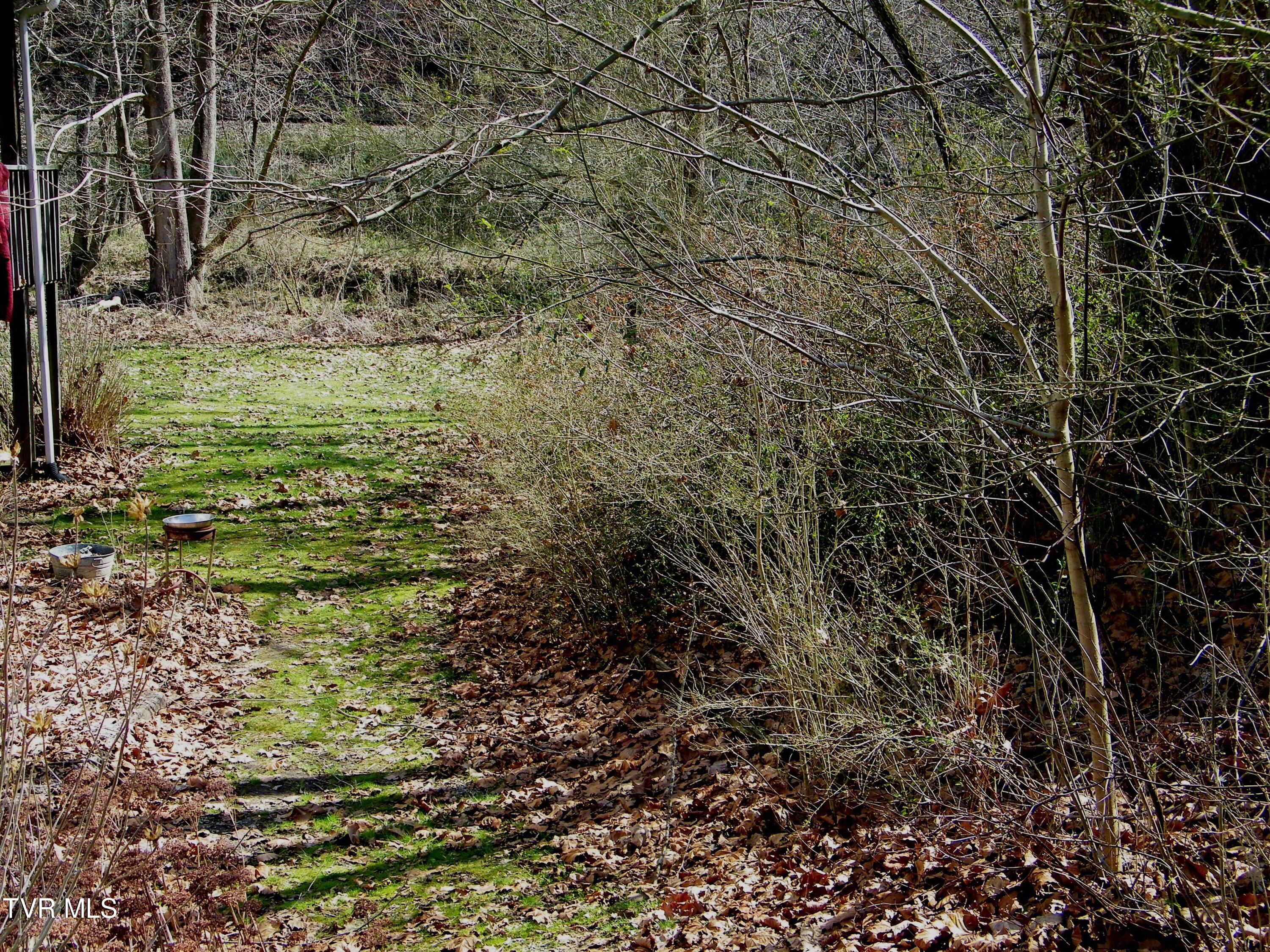 17094 Us Highway Duffield, VA 24244 - Photo 12 of 61 100_0188