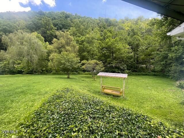 17094 Us Highway Duffield, VA 24244 - Photo 55 of 61 Dorothy 15