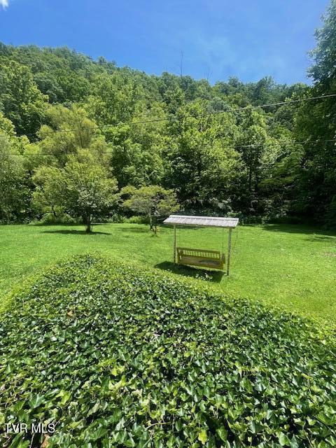 17094 Us Highway Duffield, VA 24244 - Photo 56 of 61 Dorothy 16