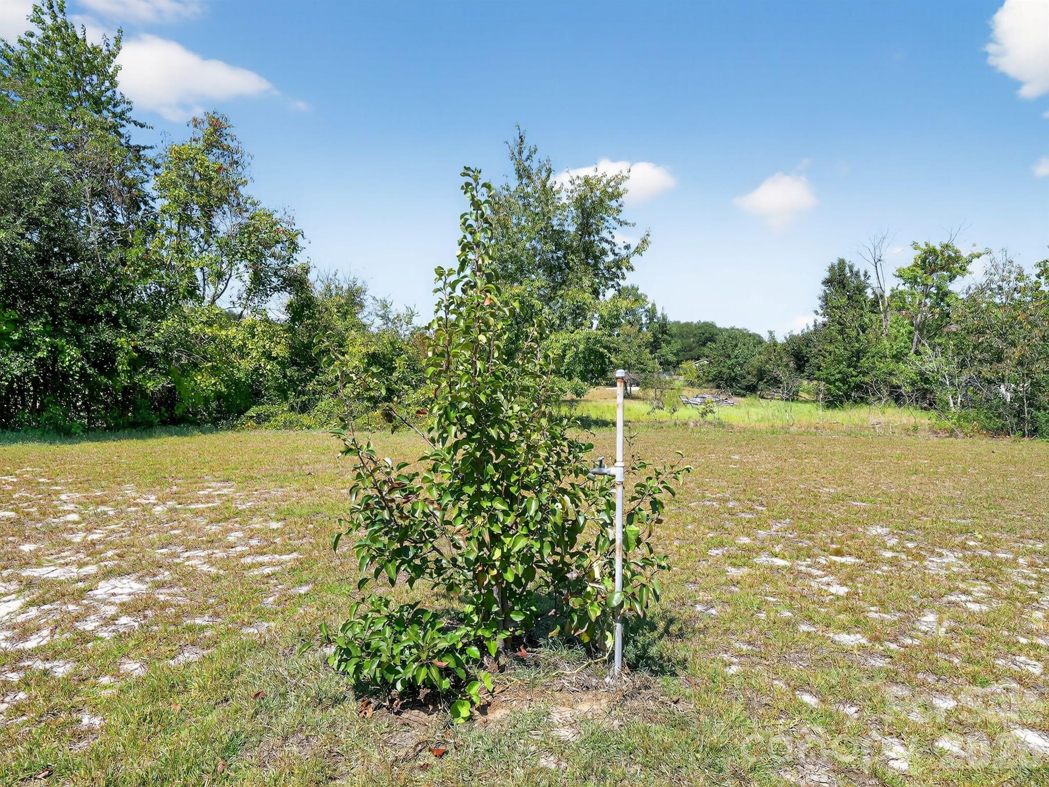 1035 McMillan Road Cheraw, SC 29520 - Photo 20 of 22
