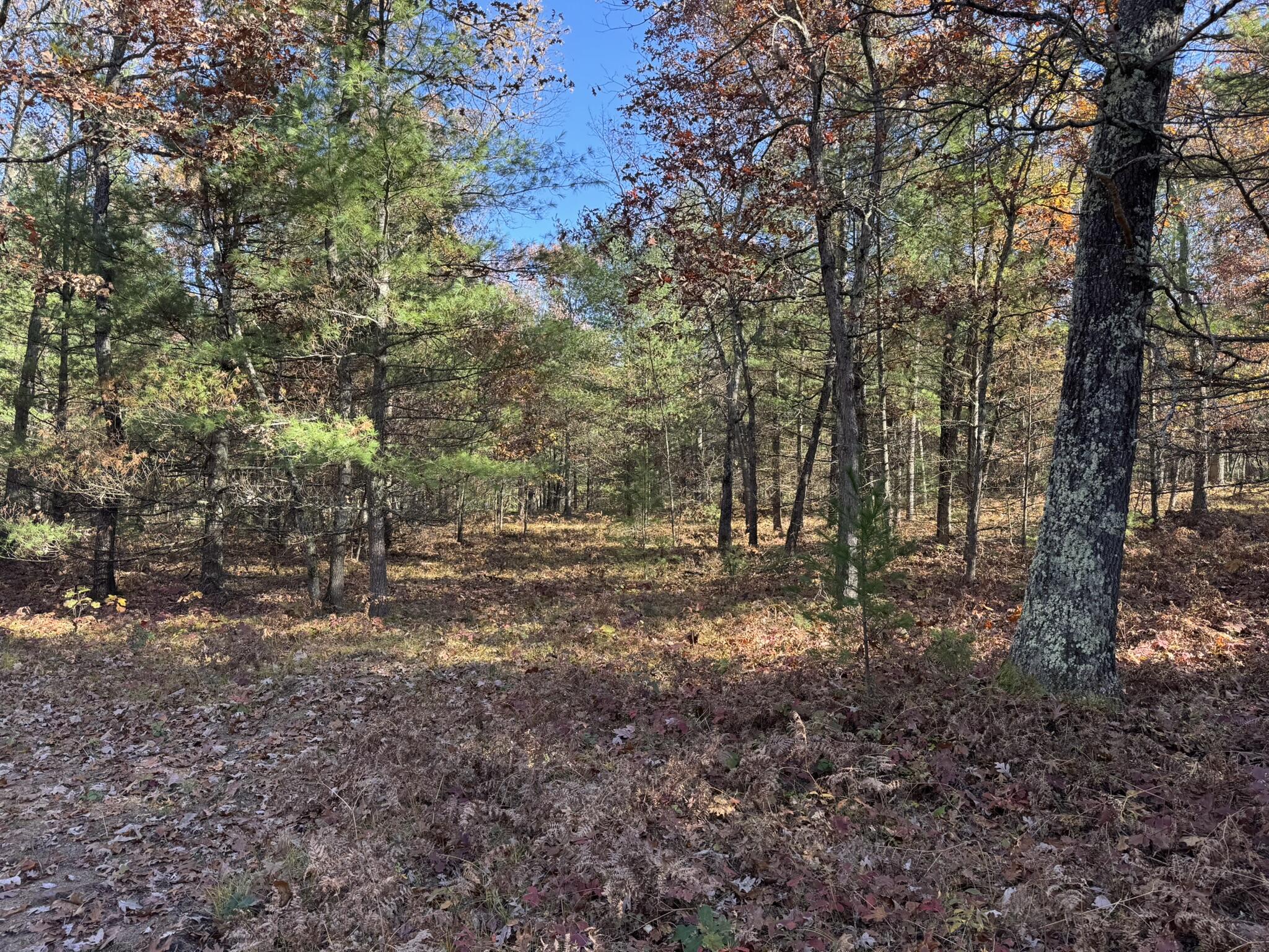 4 County Line Road Manistee, MI 49660 - Photo 3 of 4 IMG_1376