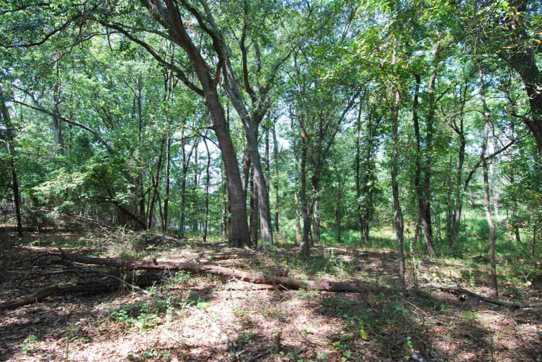 Lot 2 Old Webb Road Anderson, SC 29626 - Photo 8 of 21
