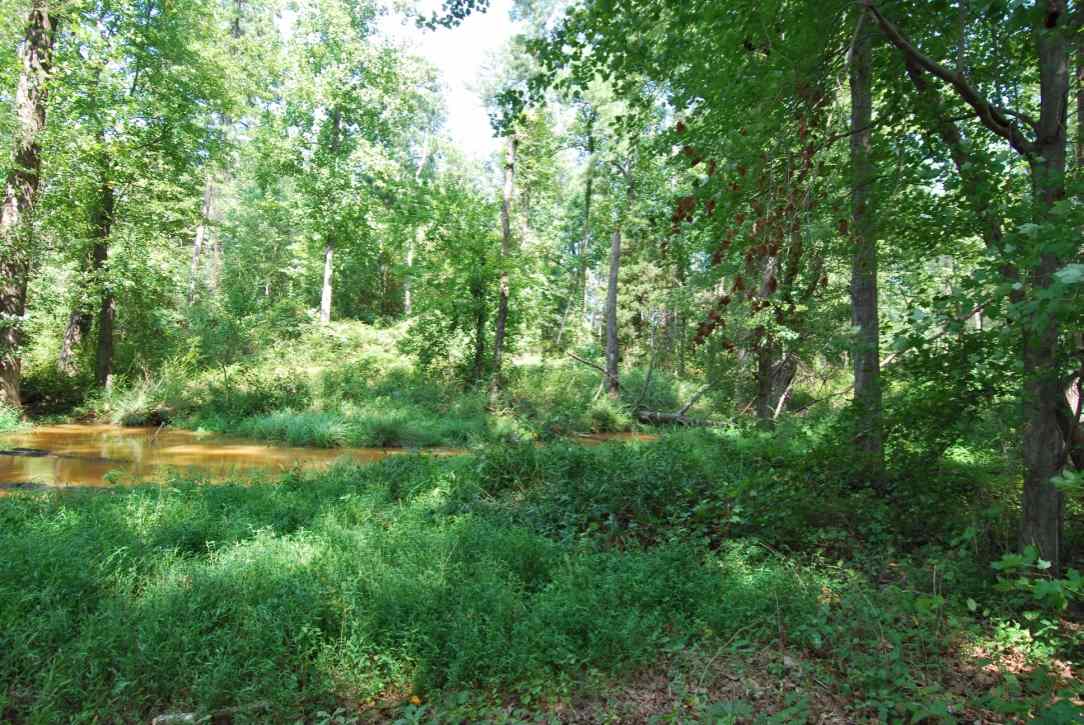 Lot 2 Old Webb Road Anderson, SC 29626 - Photo 10 of 21