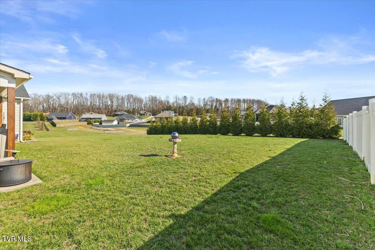 1336 Harmony Road Jonesborough, TN 37659 - Photo 39 of 49 Back Yard