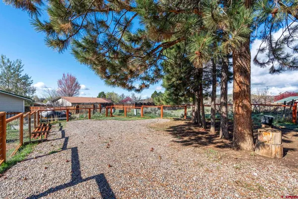 a view of a yard with a tree