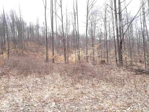 $89,000 | M Chief Road, Bear Lake, MI 49614