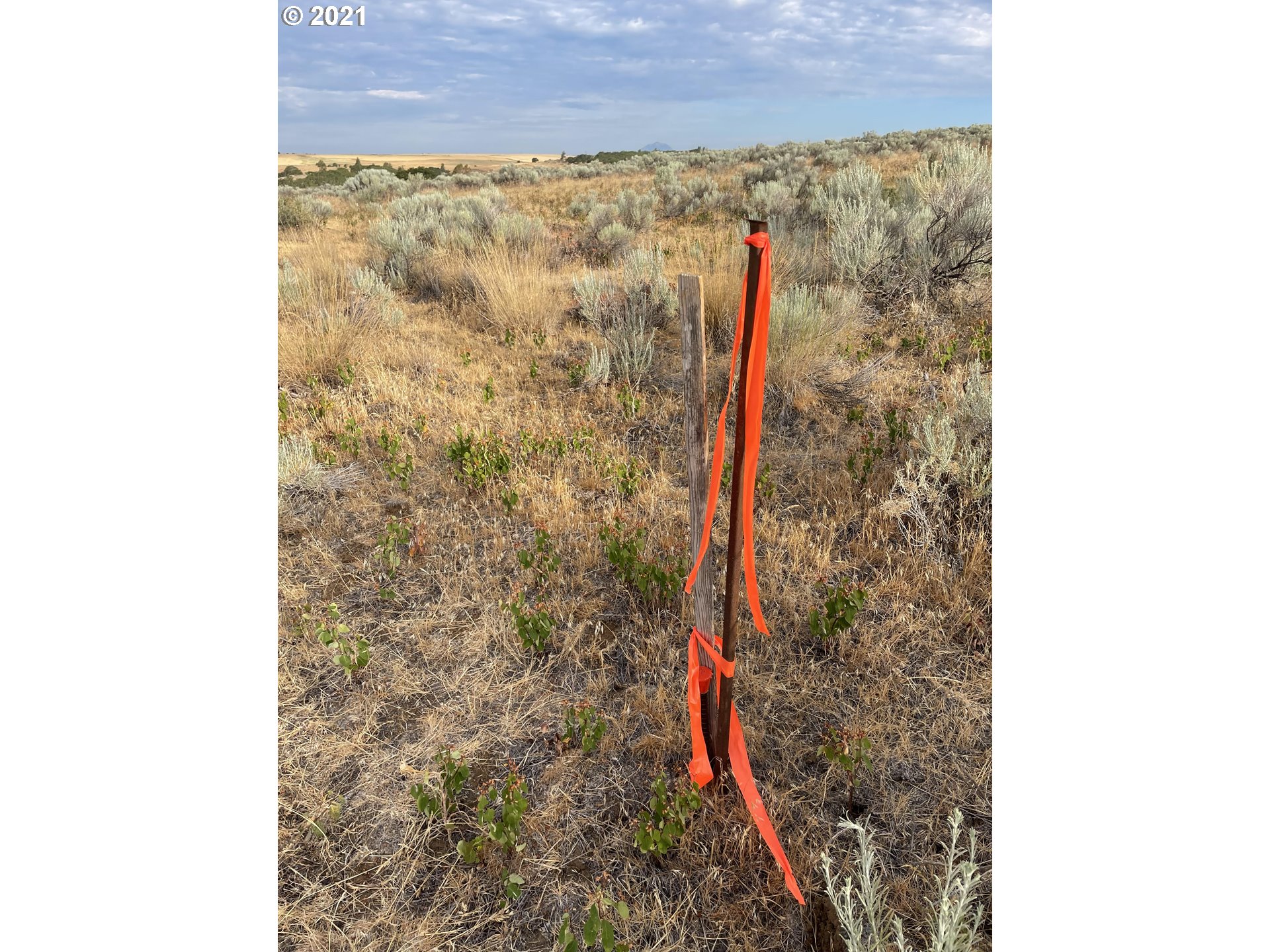 277 Oak Flat Road Goldendale, WA 98620 - Photo 5 of 21 Gallery Image 5