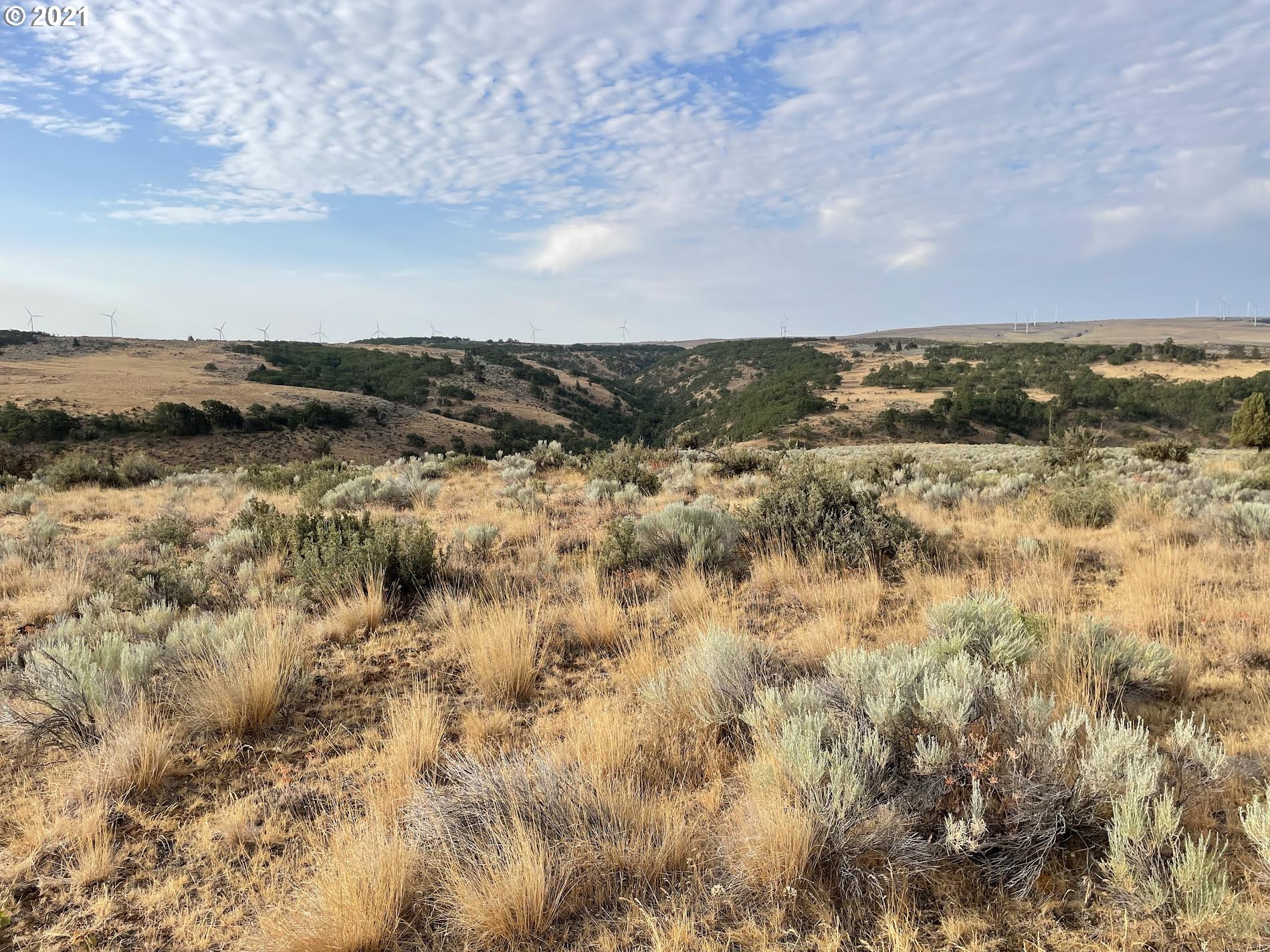 277 Oak Flat Road Goldendale, WA 98620 - Photo 9 of 21 Gallery Image 9