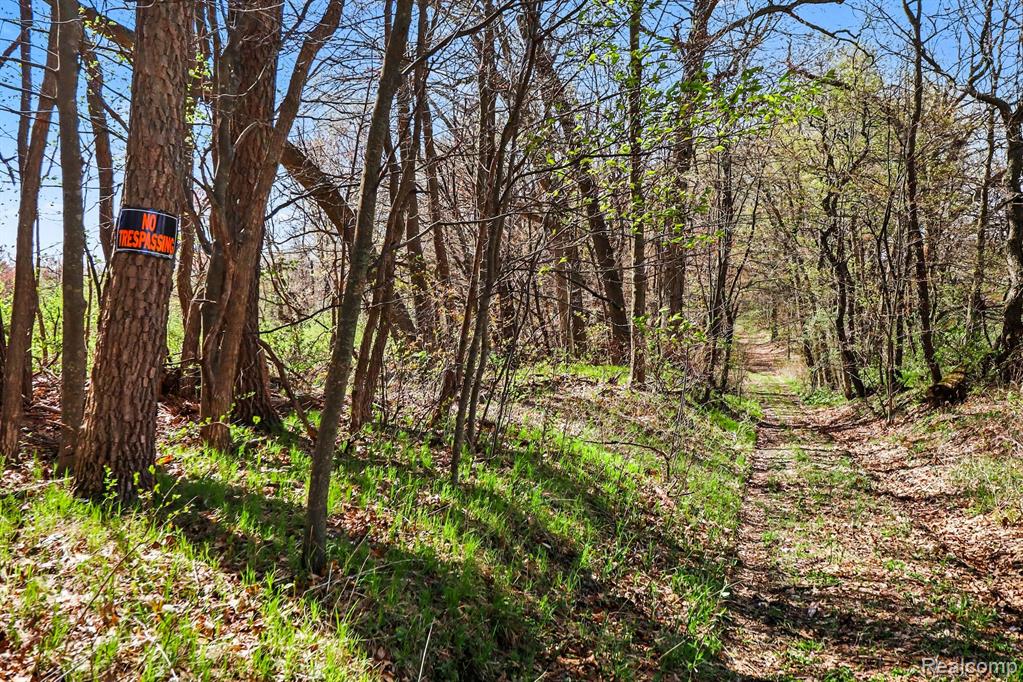 8815 Milford Road Holly, MI 48442 - Photo 23 of 52
