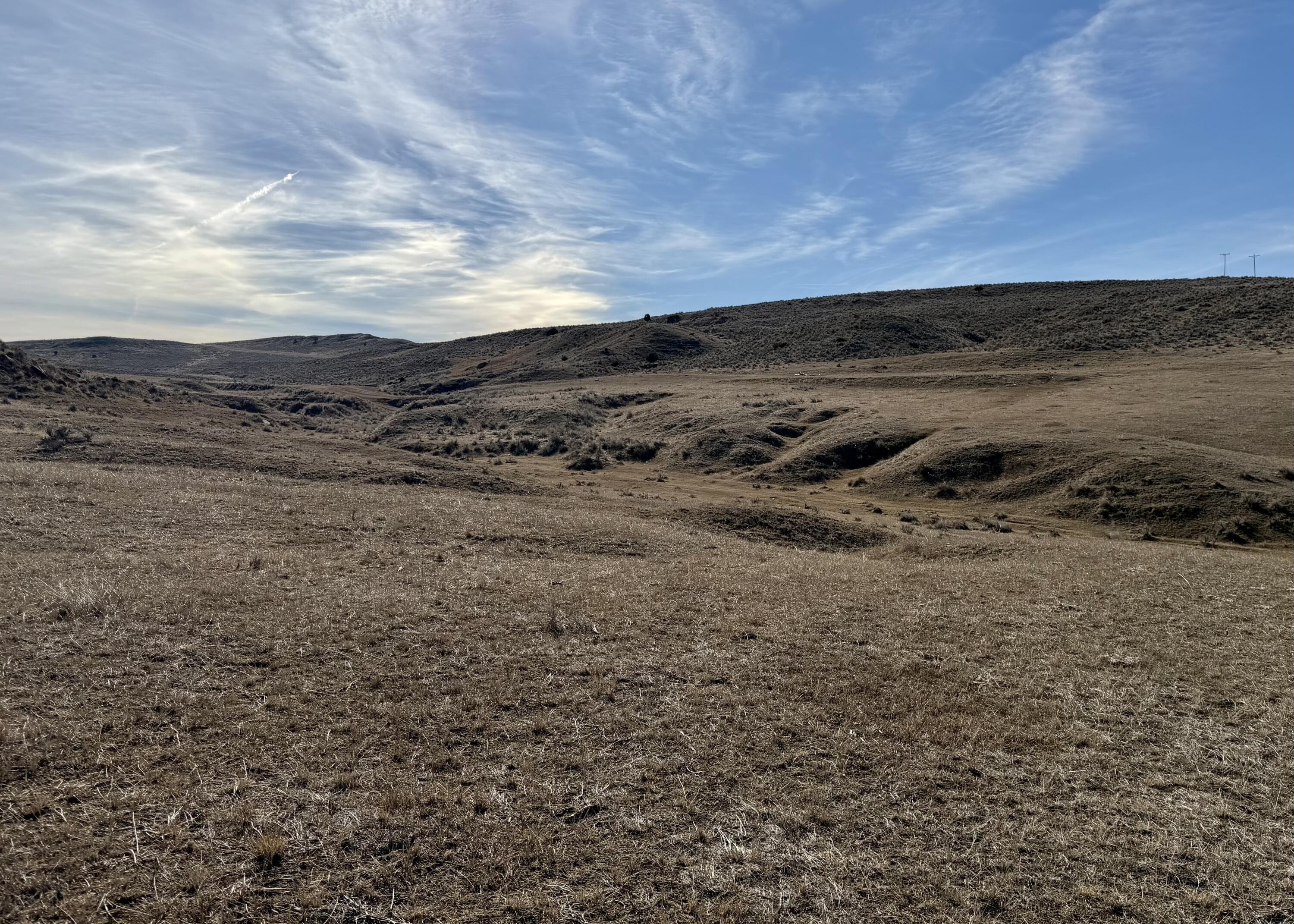 Gulch Road Sheridan, WY 82801 - Photo 2 of 13 IMG_1367