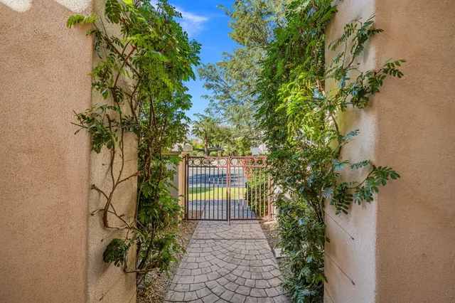 a picture of plants and trees