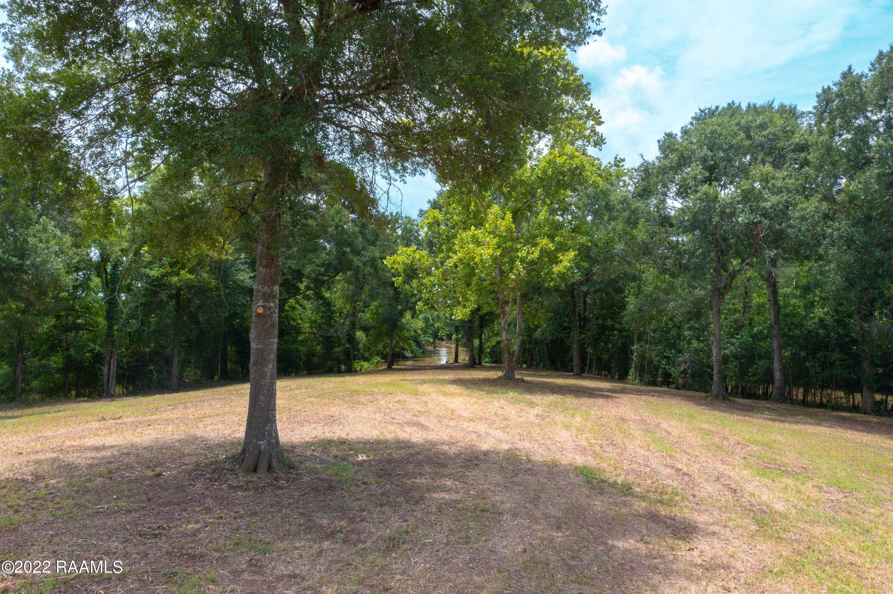 Lot 33 Yankee Camp Road Opelousas, LA 70570 - Photo 18 of 31 TecheRidge-34