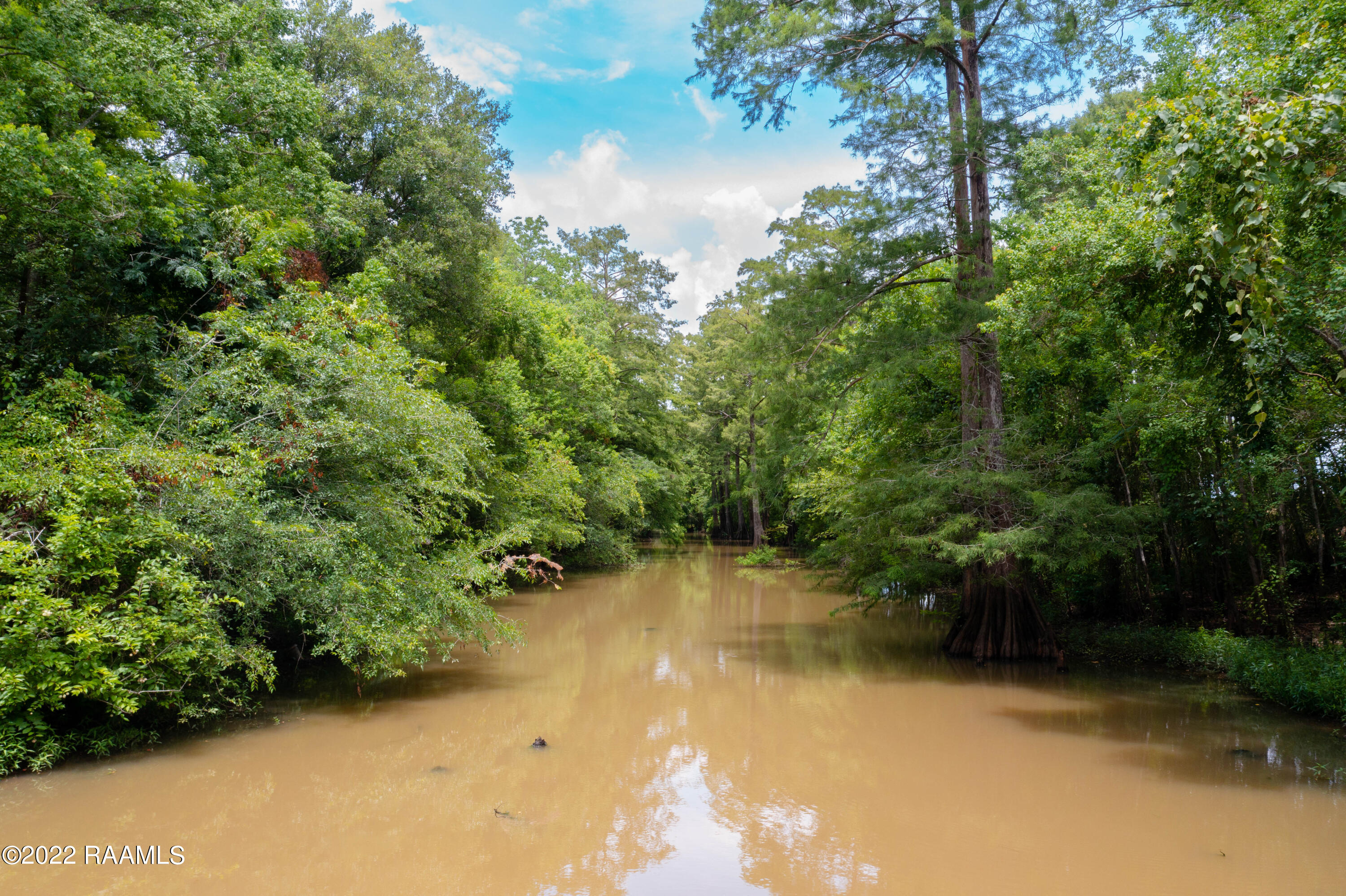 Lot 33 Yankee Camp Road Opelousas, LA 70570 - Photo 23 of 31 TecheRidge-39
