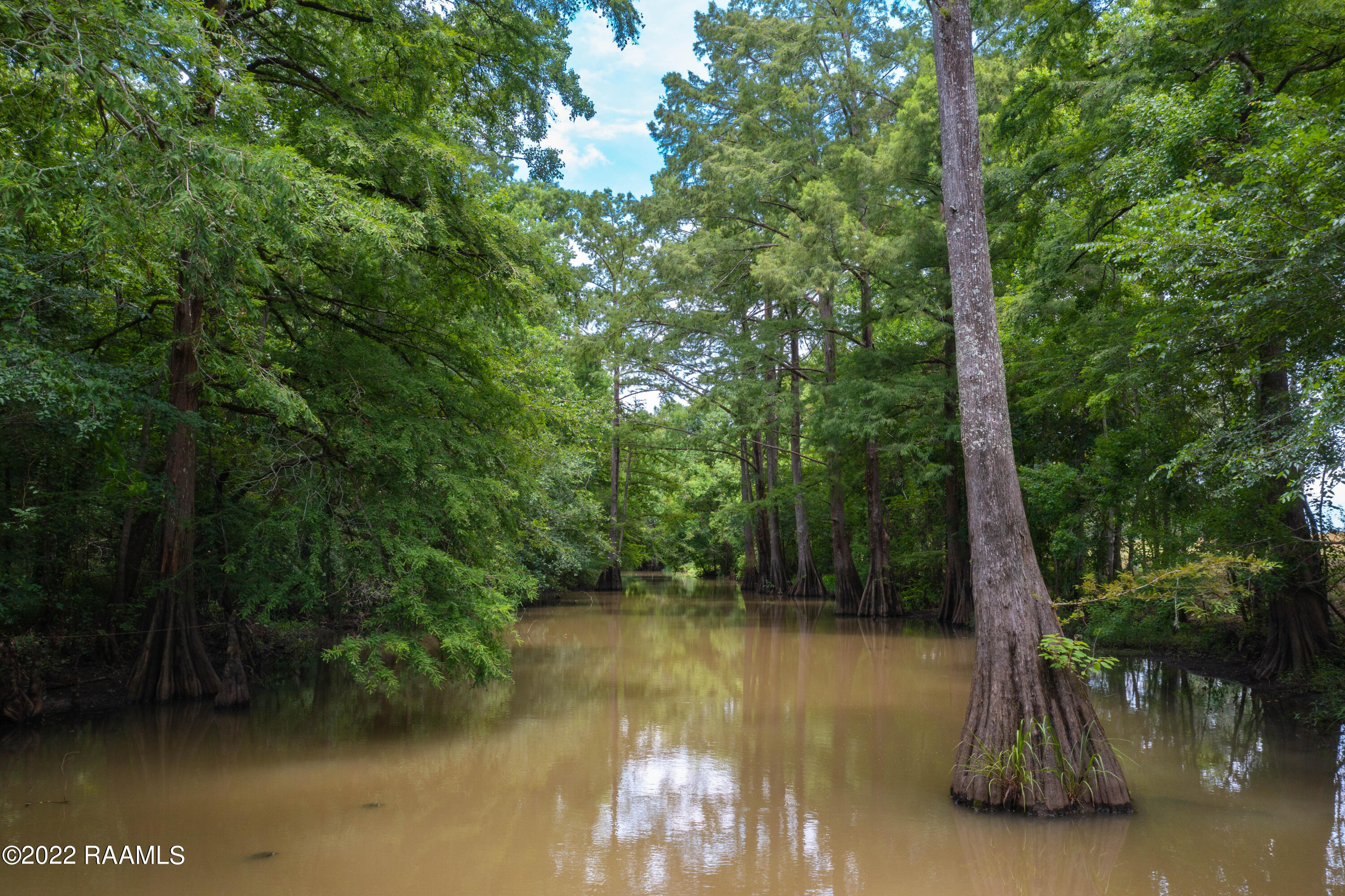 Lot 33 Yankee Camp Road Opelousas, LA 70570 - Photo 24 of 31 TecheRidge-40