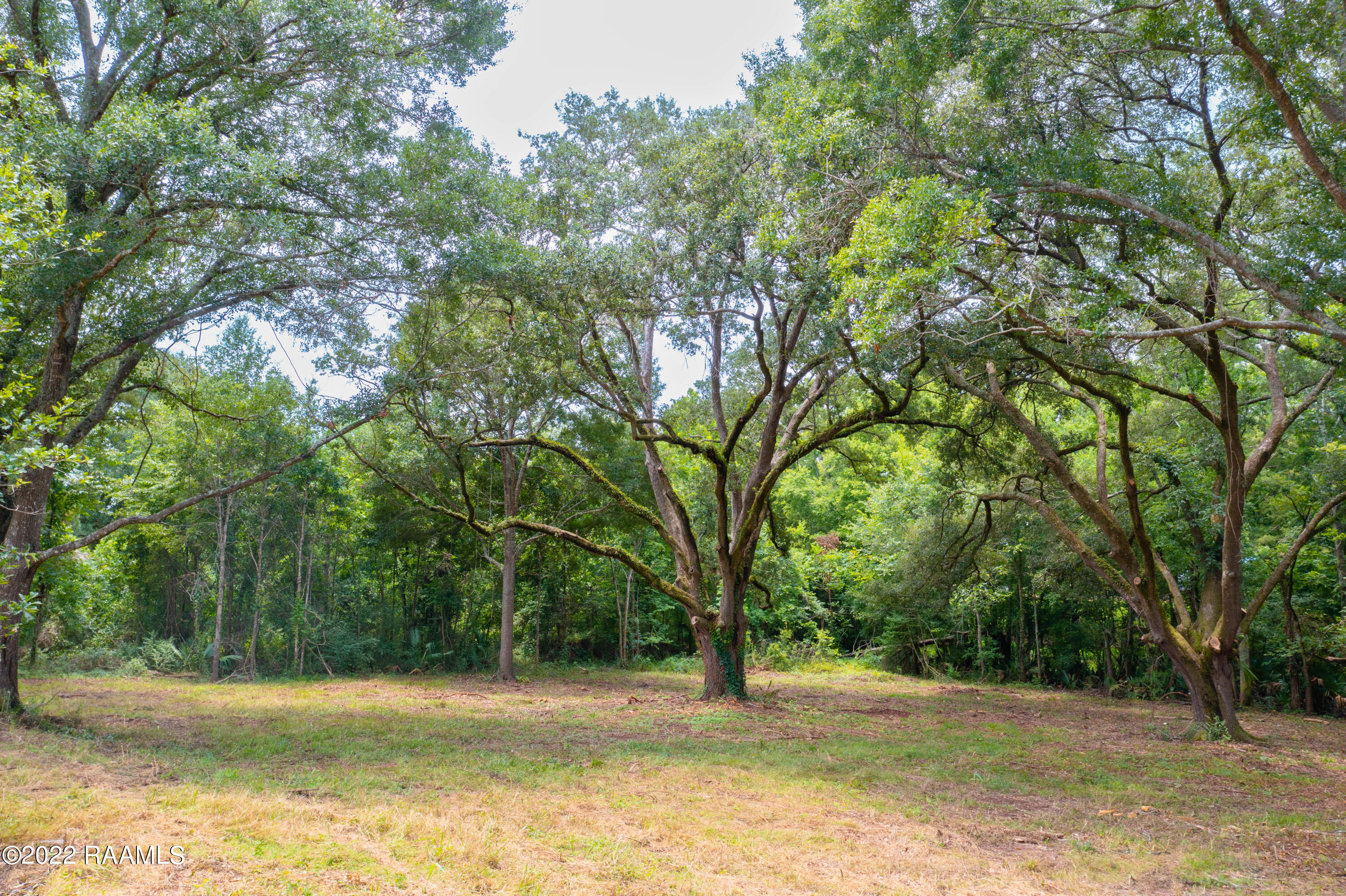 Lot 33 Yankee Camp Road Opelousas, LA 70570 - Photo 9 of 31 TecheRidge-15