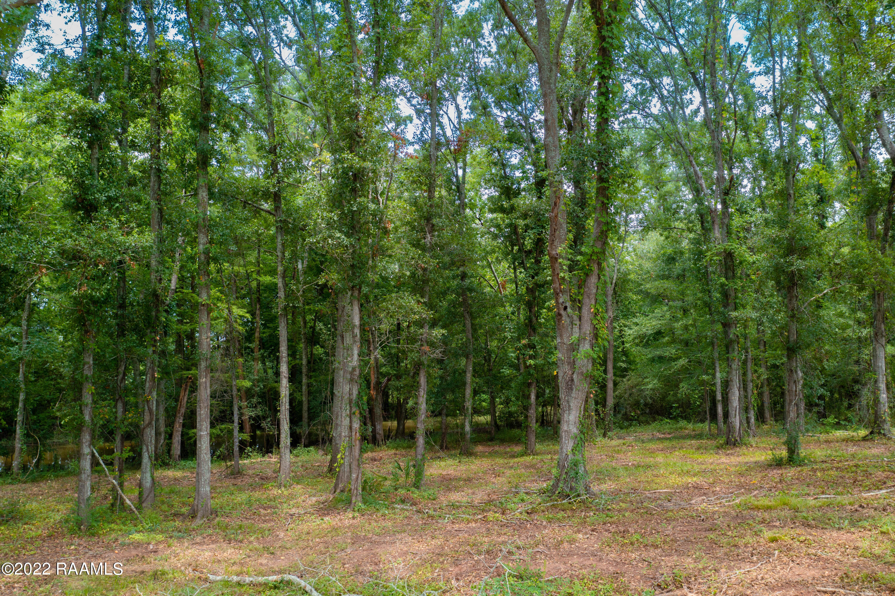 Lot 33 Yankee Camp Road Opelousas, LA 70570 - Photo 10 of 31 TecheRidge-16