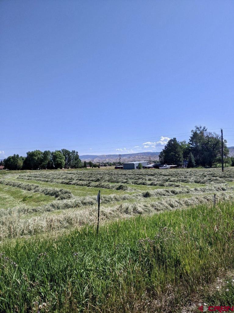 Tract 2 Government Springs Road Montrose, CO 81403 - Photo 3 of 9 a view of a lush green outdoor space with a swimming pool and valleys in the background