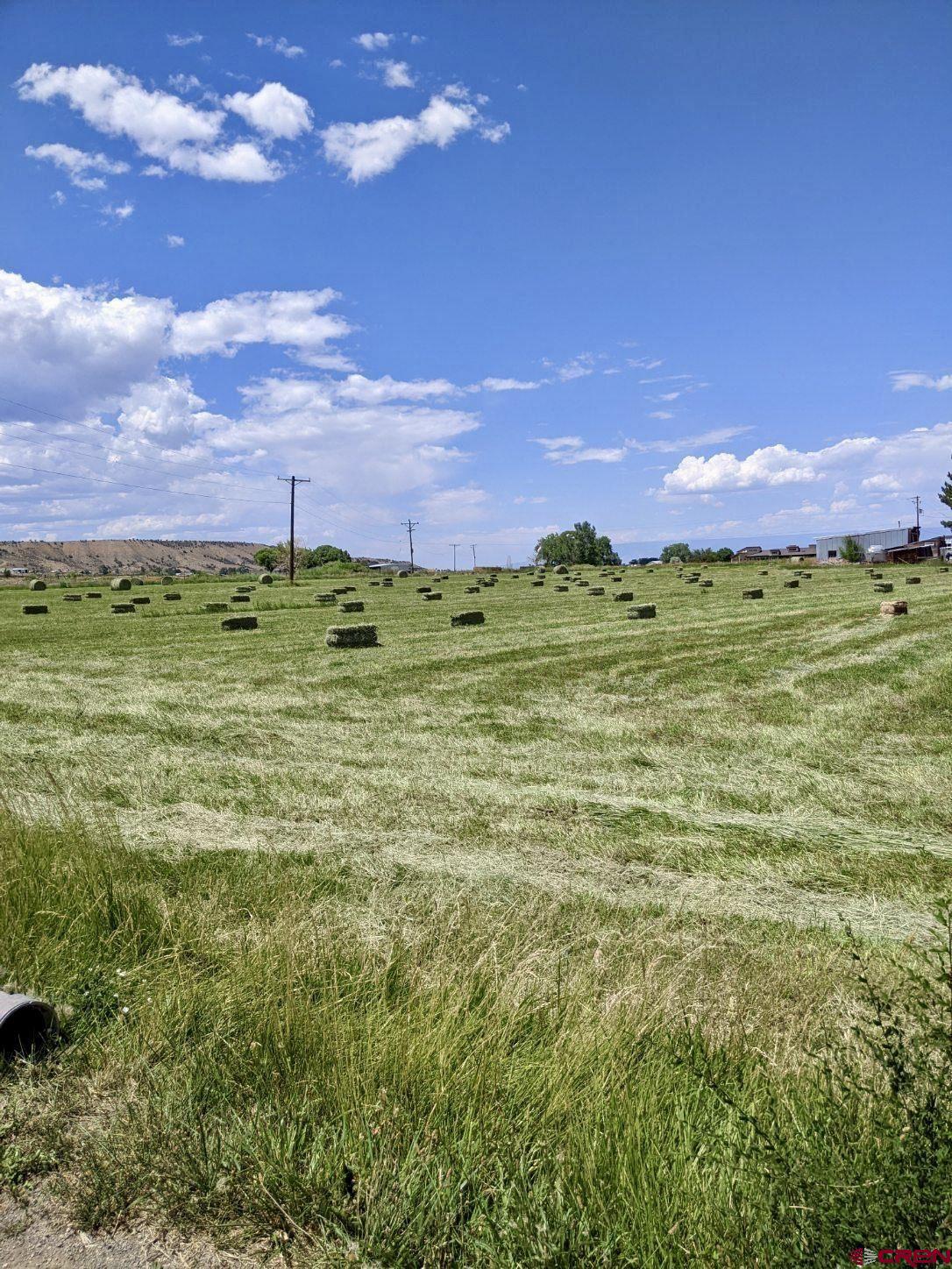 Tract 2 Government Springs Road Montrose, CO 81403 - Photo 4 of 9 a view of a big yard with swimming pool and a fire pit