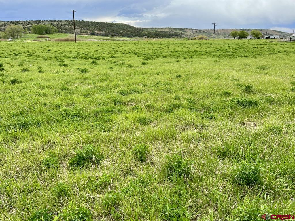 Tract 2 Government Springs Road Montrose, CO 81403 - Photo 5 of 9 a backyard of a house with lots of green space