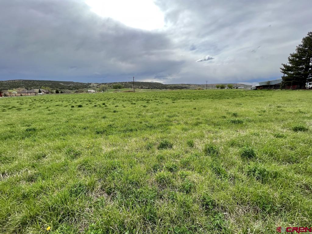 Tract 2 Government Springs Road Montrose, CO 81403 - Photo 6 of 9 a view of yard with swimming pool and mountain