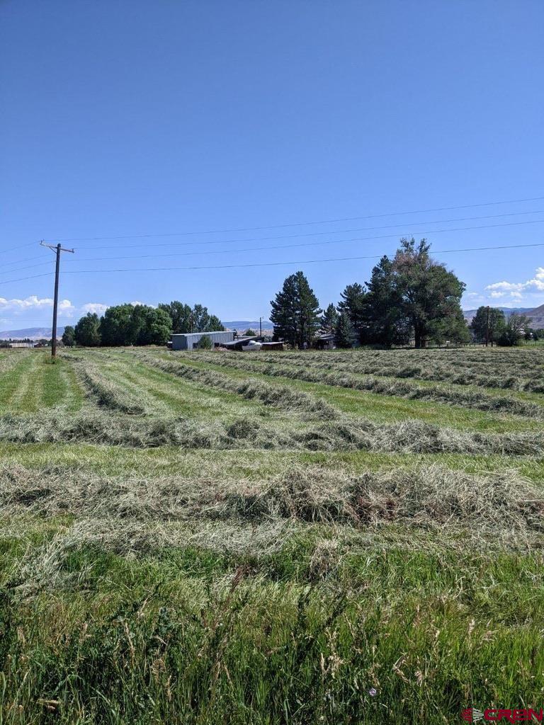 Tract 2 Government Springs Road Montrose, CO 81403 - Photo 9 of 9 a view of a field with trees in the background