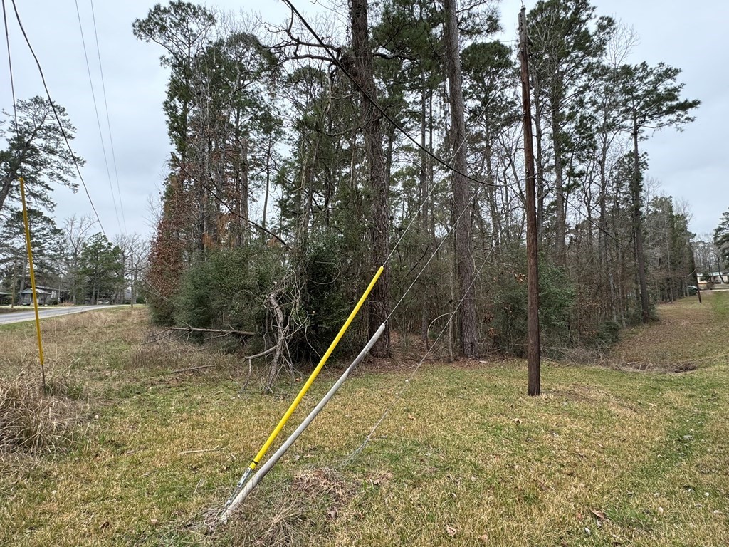 Tbd Tbd County Goodrich, TX 77335 - Photo 5 of 11 a view of a park with large trees