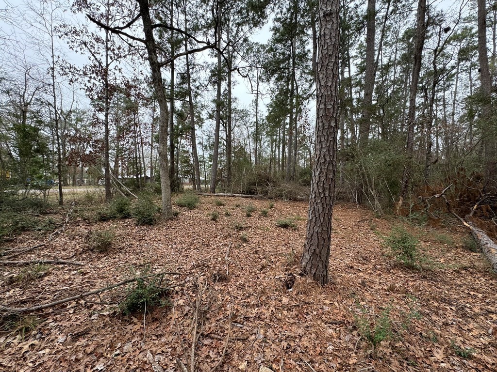 Tbd Tbd County Goodrich, TX 77335 - Photo 8 of 11 a view of a forest filled with trees
