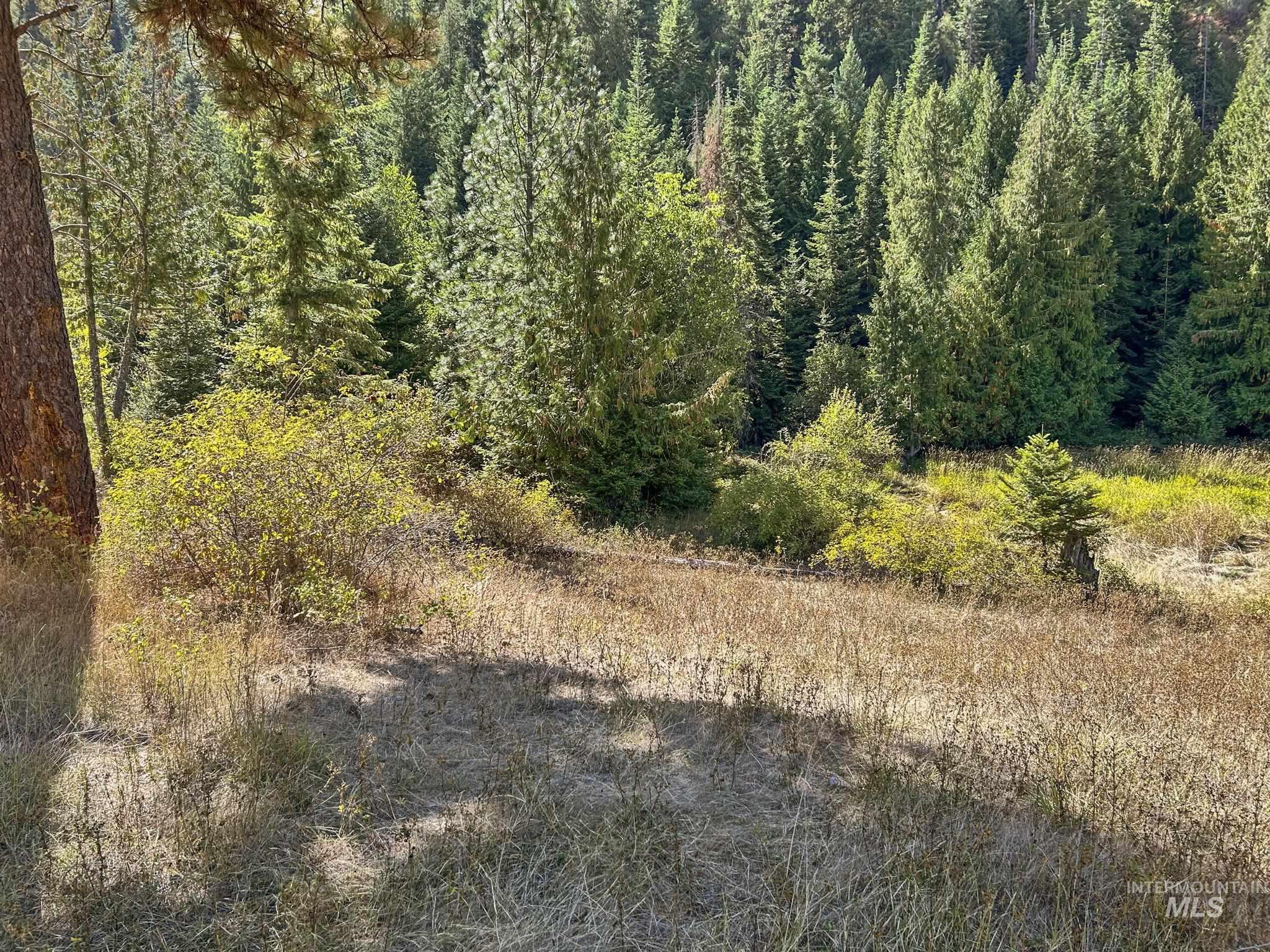 Nka Nka North Road Kendrick, ID 83537 - Photo 17 of 40 View of wooded area