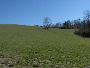 197 Watauga Flats Road Johnson City, TN 37601 - Photo 1 of 9 Photo 1