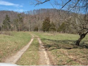 197 Watauga Flats Road Johnson City, TN 37601 - Photo 3 of 9 Photo 3