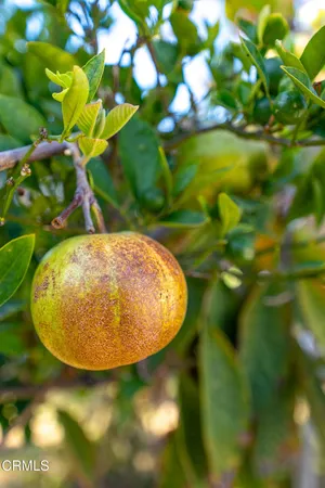 $699,000 | 510 Fairbourne Place, Oxnard, CA 93033