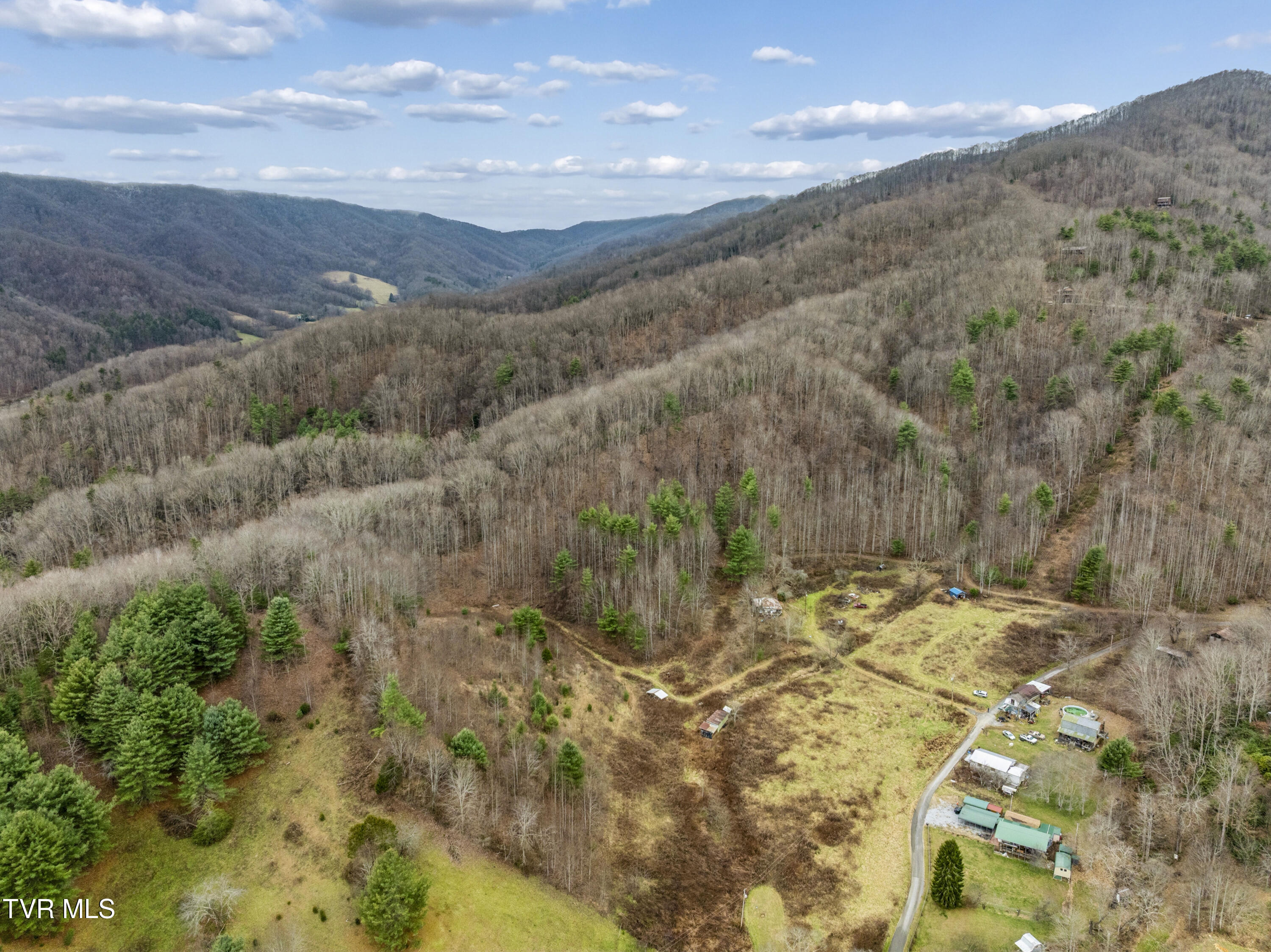 Tbd Tipton Branch Road Flag Pond, TN 37657 - Photo 12 of 13 TiptonBranch-24