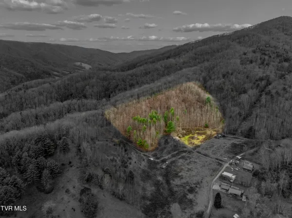 $50,000 | Tbd Tipton Branch Road, Flag Pond, TN 37657