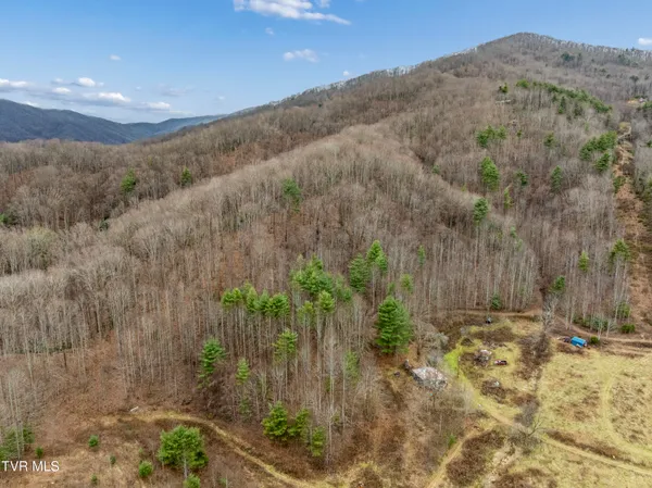 $50,000 | Tbd Tipton Branch Road, Flag Pond, TN 37657