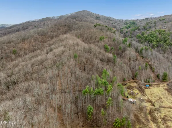 $50,000 | Tbd Tipton Branch Road, Flag Pond, TN 37657