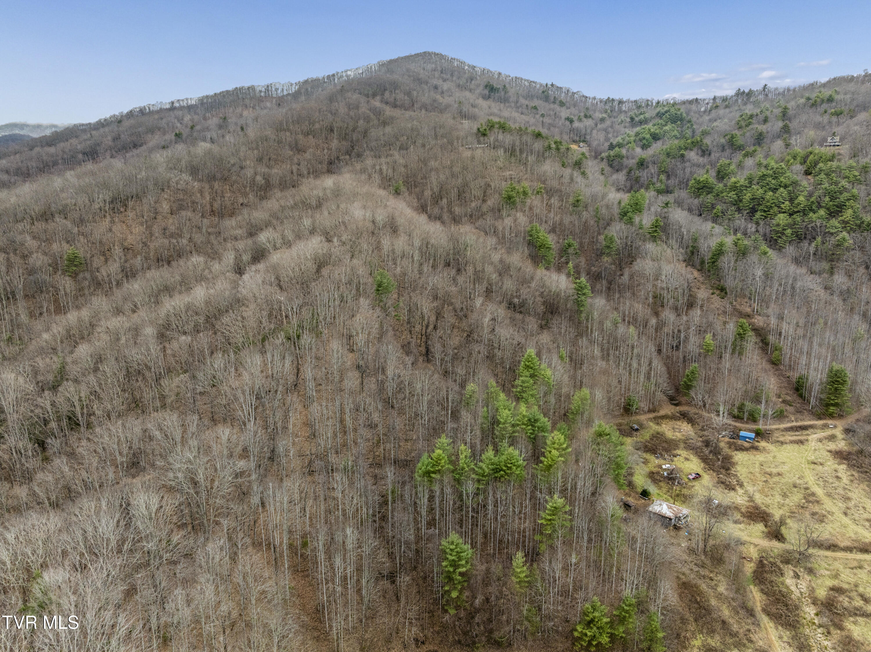 Tbd Tipton Branch Road Flag Pond, TN 37657 - Photo 3 of 13 TiptonBranch-15