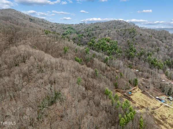 $50,000 | Tbd Tipton Branch Road, Flag Pond, TN 37657