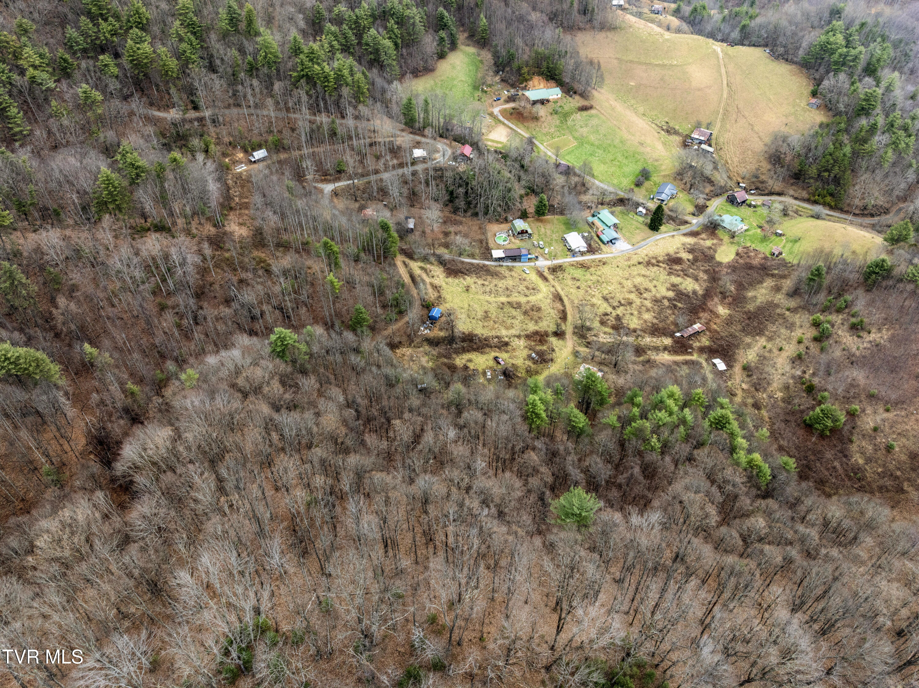 Tbd Tipton Branch Road Flag Pond, TN 37657 - Photo 5 of 13 TiptonBranch-17