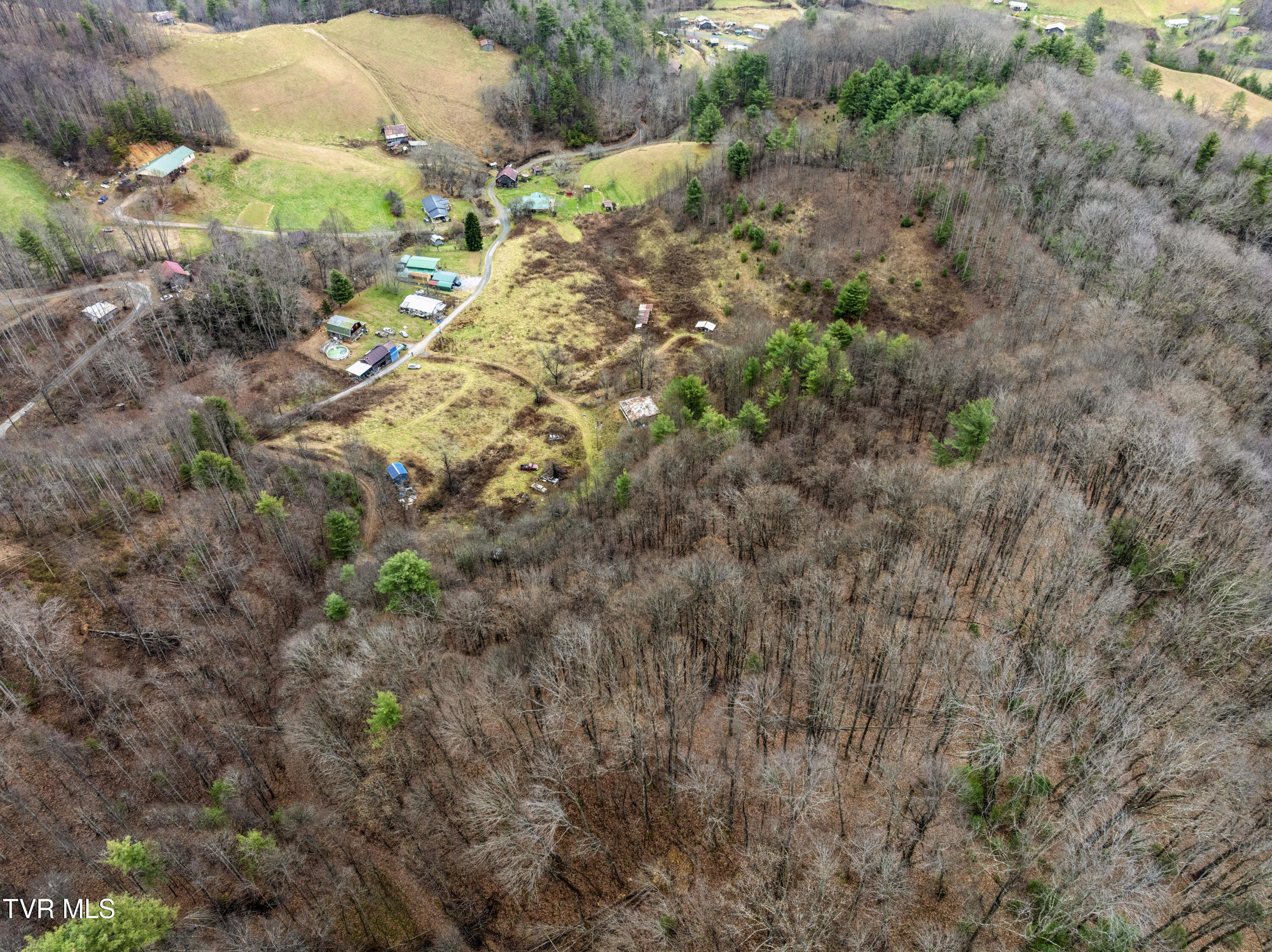 Tbd Tipton Branch Road Flag Pond, TN 37657 - Photo 6 of 13 TiptonBranch-18