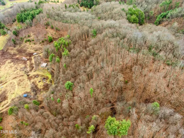 $50,000 | Tbd Tipton Branch Road, Flag Pond, TN 37657