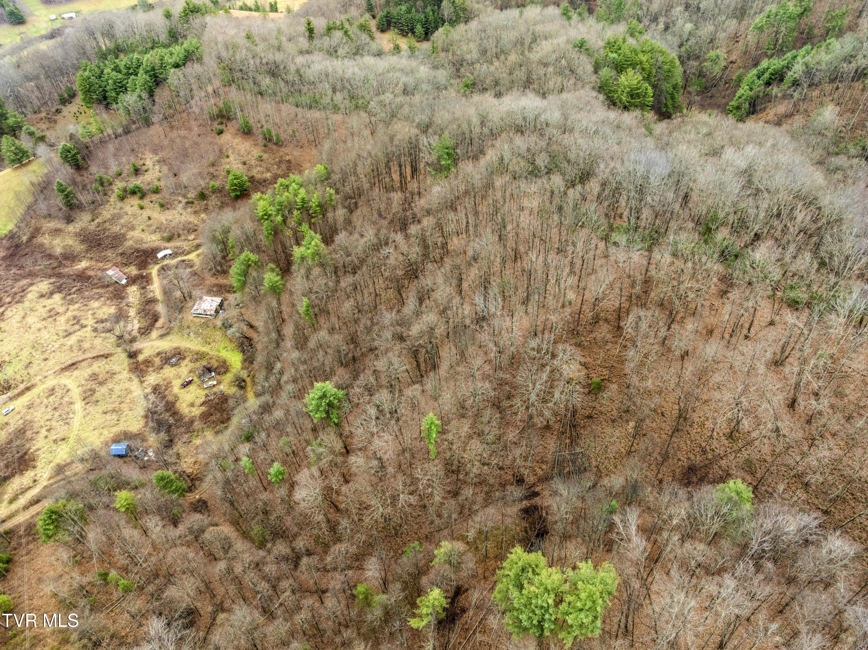 Tbd Tipton Branch Road Flag Pond, TN 37657 - Photo 7 of 13 TiptonBranch-19