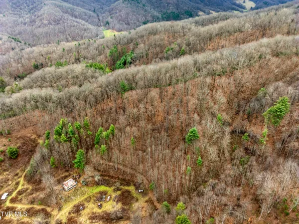 $50,000 | Tbd Tipton Branch Road, Flag Pond, TN 37657