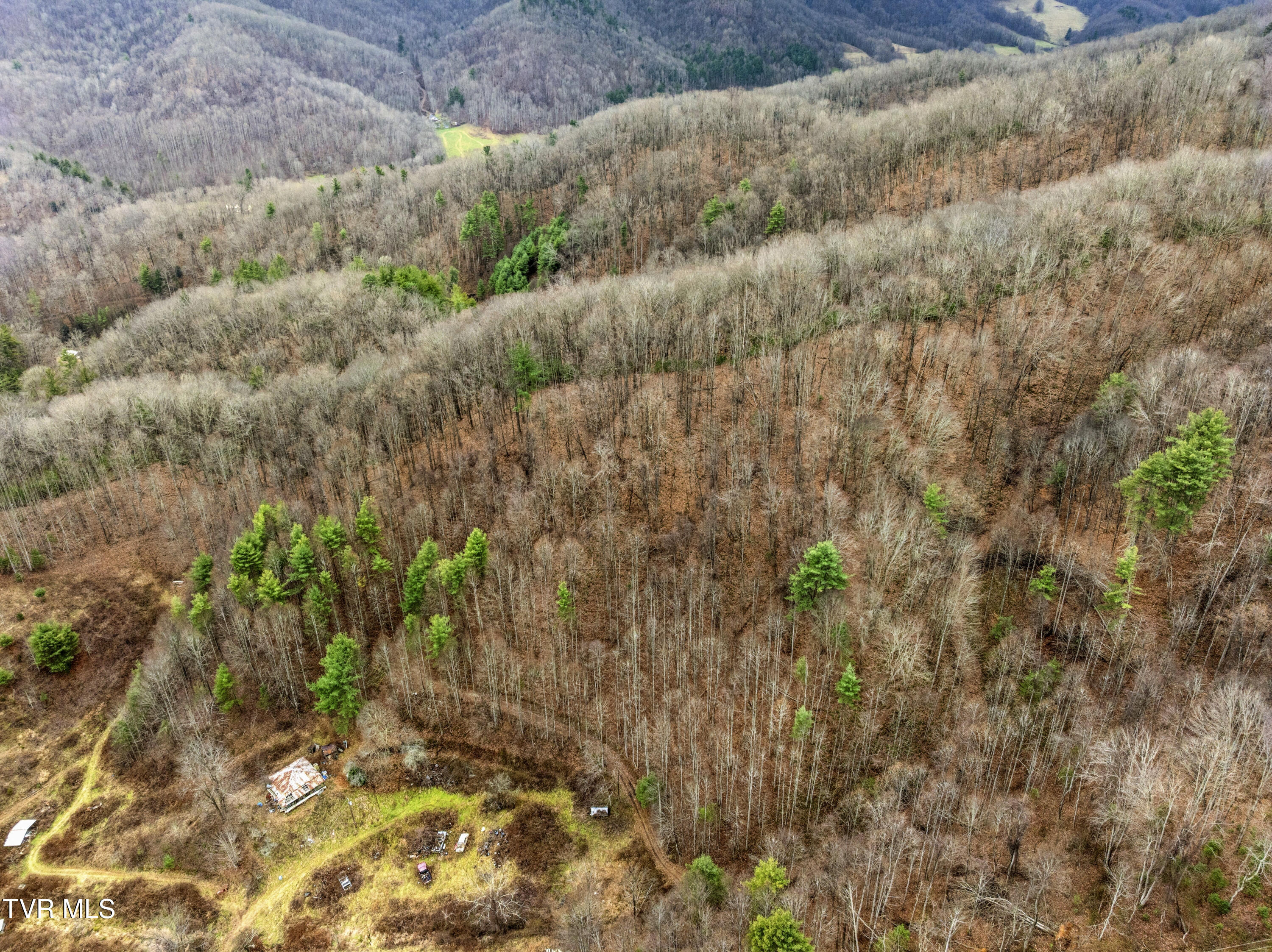 Tbd Tipton Branch Road Flag Pond, TN 37657 - Photo 8 of 13 TiptonBranch-20